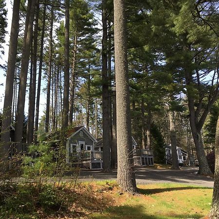 Pine Grove Cottages Lincolnville Exteriör bild