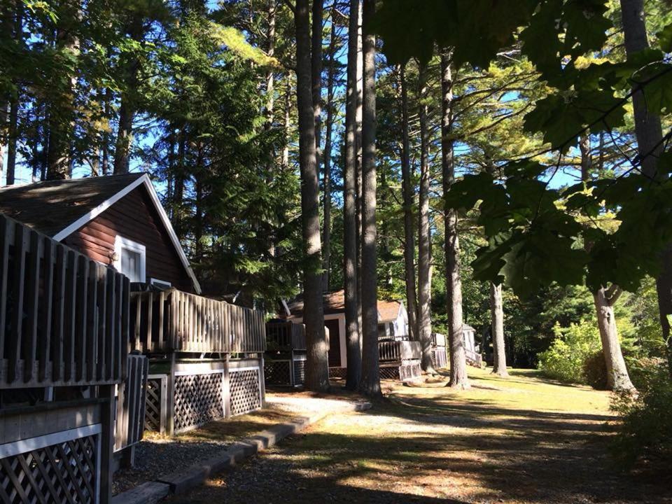 Pine Grove Cottages Lincolnville Exteriör bild