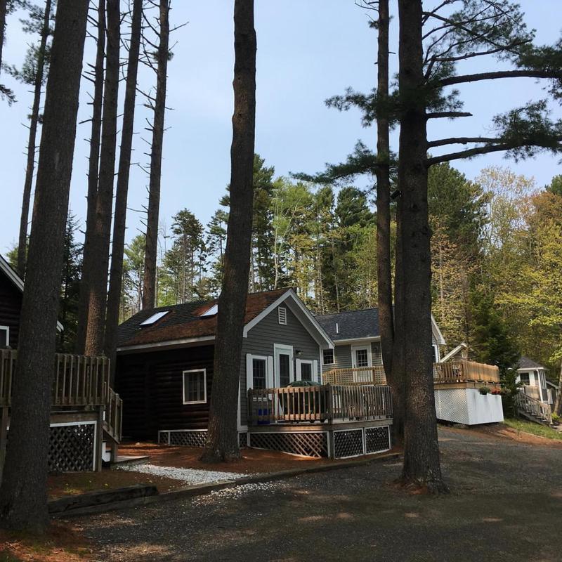 Pine Grove Cottages Lincolnville Exteriör bild