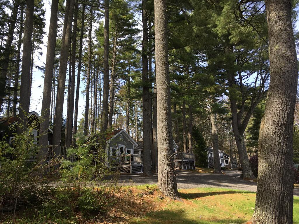 Pine Grove Cottages Lincolnville Exteriör bild